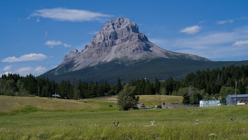 Crowsnest Mountain seen from meadow, Coleman, Alberta, Canada