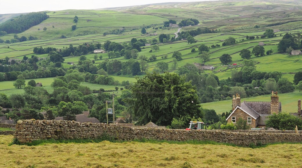 View from Skelgate Lane over Reeth towards Grinton Moor