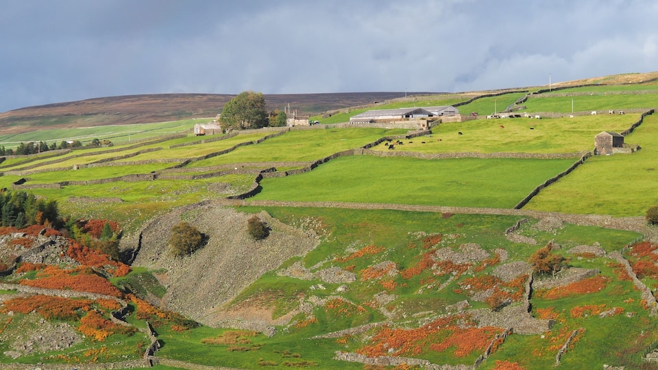 A rural landscape with terraced fields, stone walls, and a farmhouse.