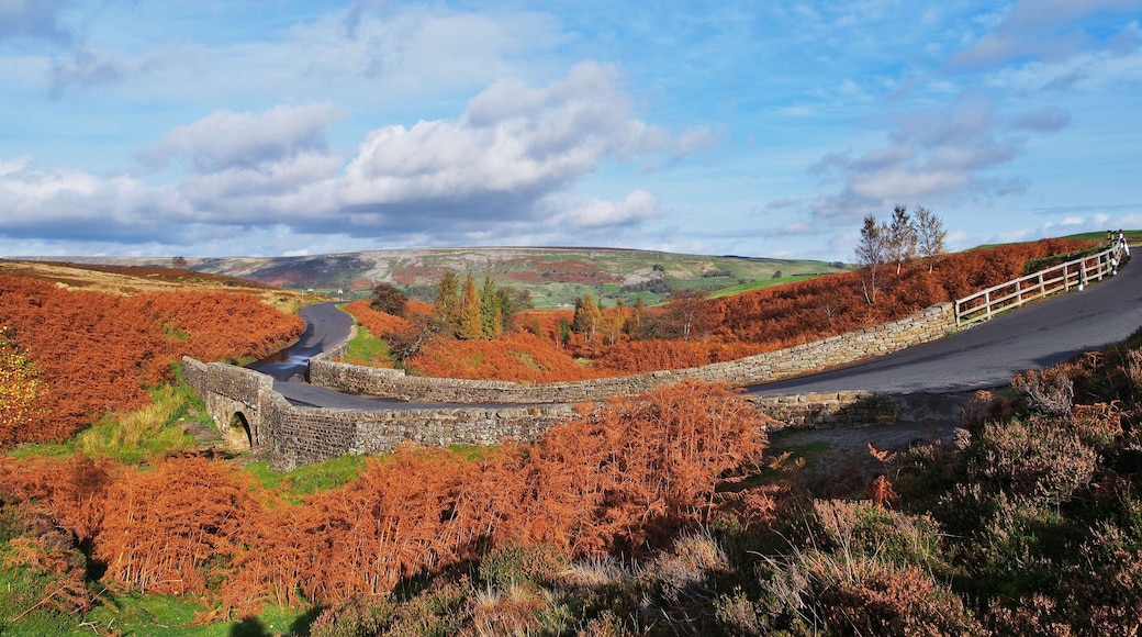 Cogden Bridge, Grinton, North Yorkshire