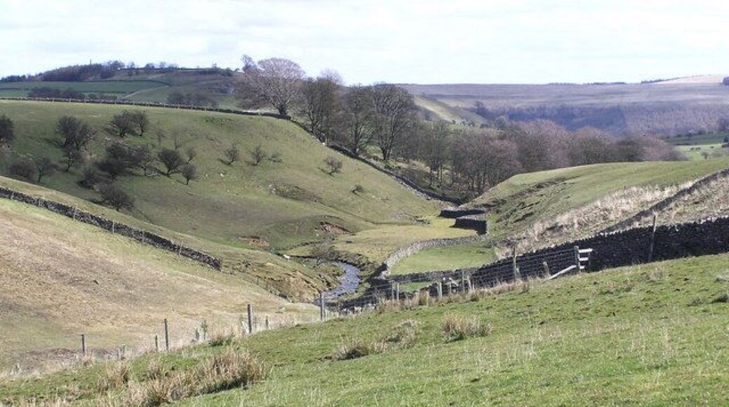 Dales Beck . Below Smelt Mills.