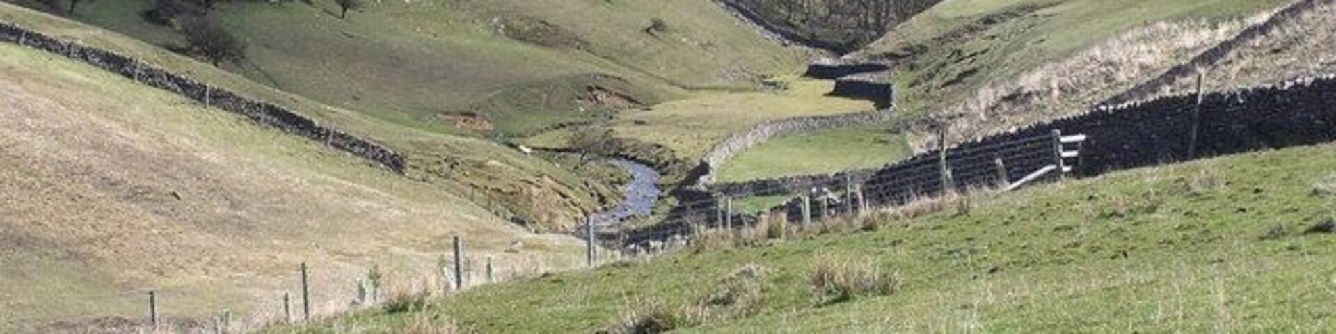 Dales Beck . Below Smelt Mills.