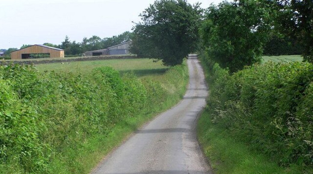 Appleby Lane. Looking toward Aldbrough St.John.