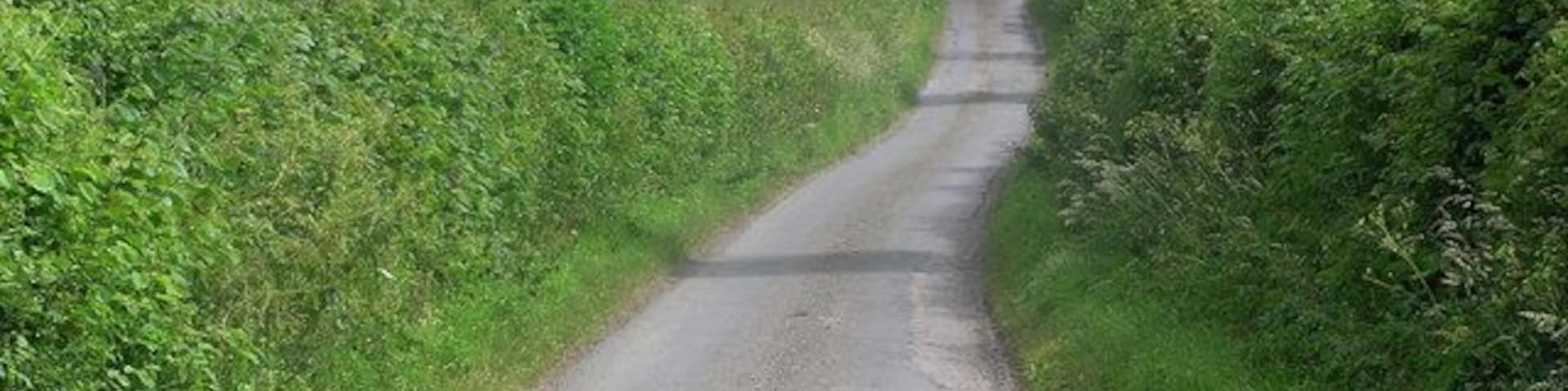 Appleby Lane. Looking toward Aldbrough St.John.