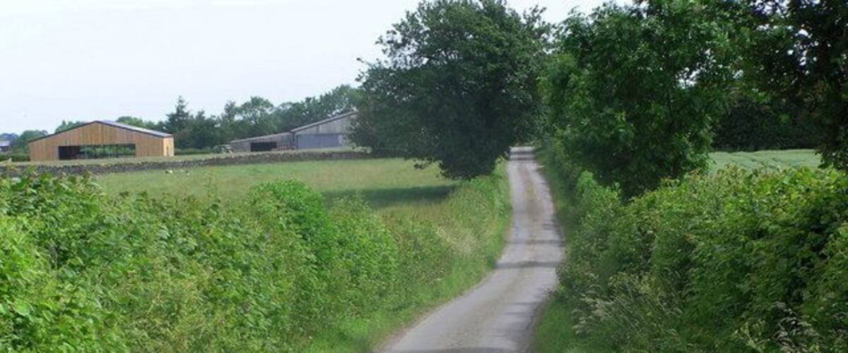 A narrow rural road flanked by green fields and a few buildings in the distance.