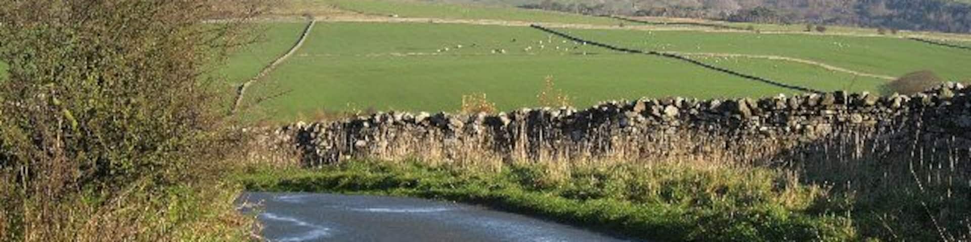 A narrow rural road curving through green fields with stone walls and a stone bridge.