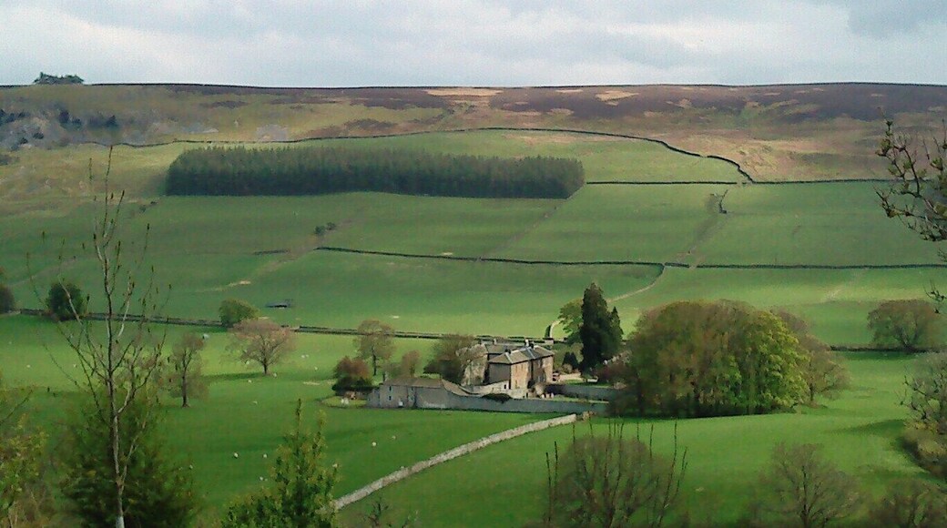 Ellerton Abbey, near to Marrick, North Yorkshire, England. A fine pad built in 1830, named after the nearby ruins of the cistercian abbey of Ellerton. Featured as the home of Mrs Pumphrey & Tricky-Woo in the TV series "All Creatures Great and Small". Long Scar Plantation is the ablong block of conifers below Ellerton Scar.