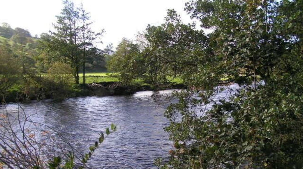 River Swale near Feetham Wood From the riverside footpath.