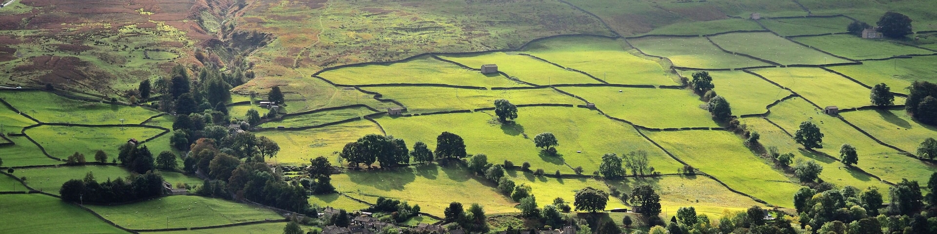 Un paisaje rural con campos verdes ondulantes, árboles dispersos y un pequeño pueblo.