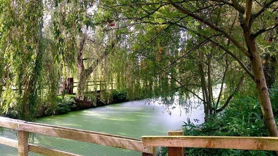 A great place for a casual stroll or train ride