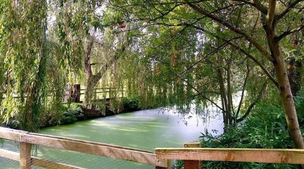 A great place for a casual stroll or train ride