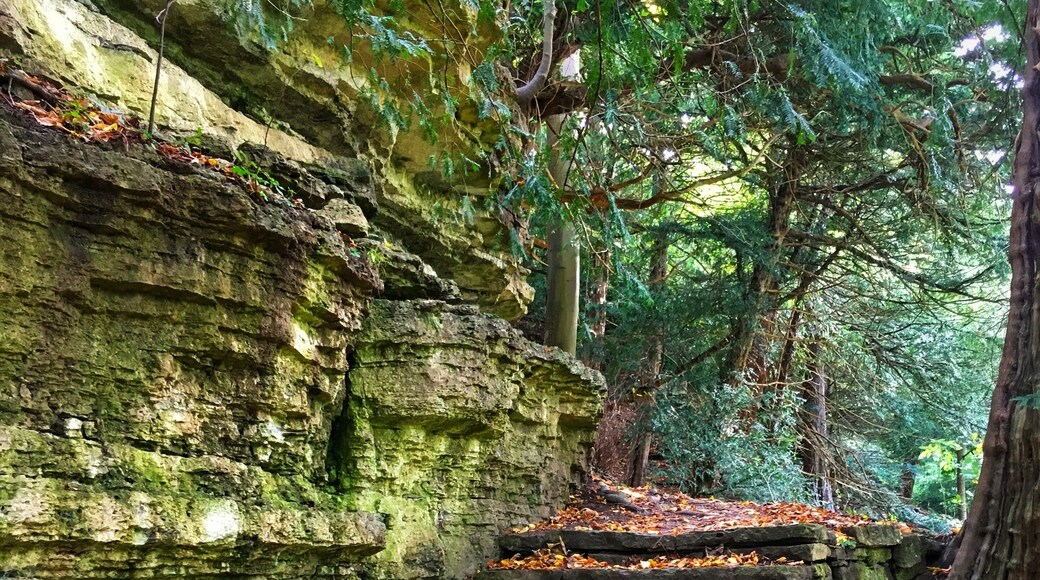 Autumn at Studley Gardens #national-trust #yorkshire