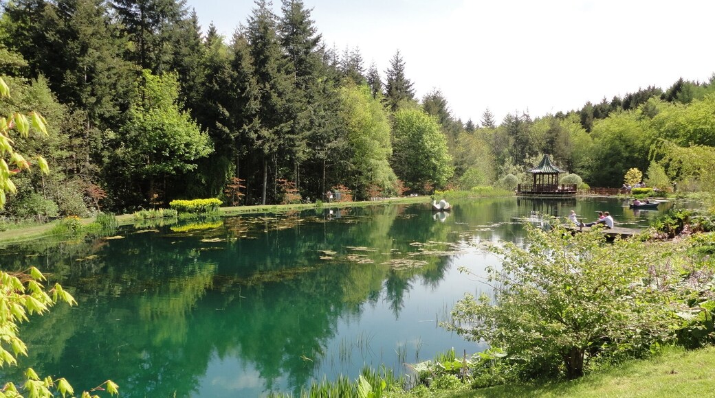 We saw this place on the tv and decided we had to go. Its only apen a few week each year.