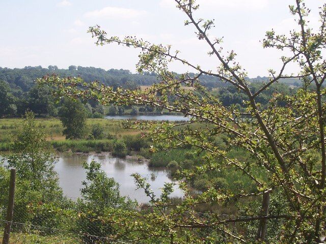 Nature Reserve Masham. Marfield near Masham was formerly a gravel pit.