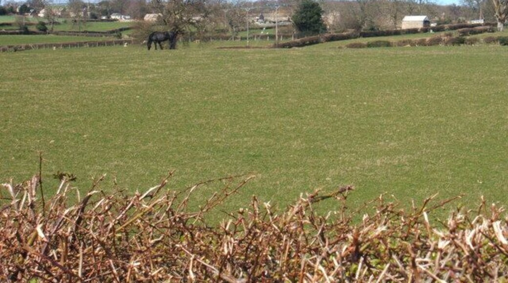 Black horse and Fearby From the track which forms part of the Ripon Rowel Walk