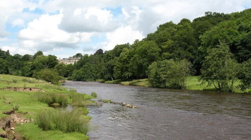 A sylvan stretch of the Ure The Ure is a beautiful river and its upper reaches through Wensleydale are well known. Lower down its course between Jervaulx and Ripon, it becomes more secretive and is not easily seen except by those willing to walk its banks. This view looks north towards Clifton Castle, high on the opposite bank.