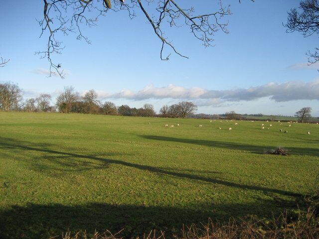 Fields east of Fearby Quiet countryside from the lane that connects Fearby to Masham - about a quarter of a mile from the former