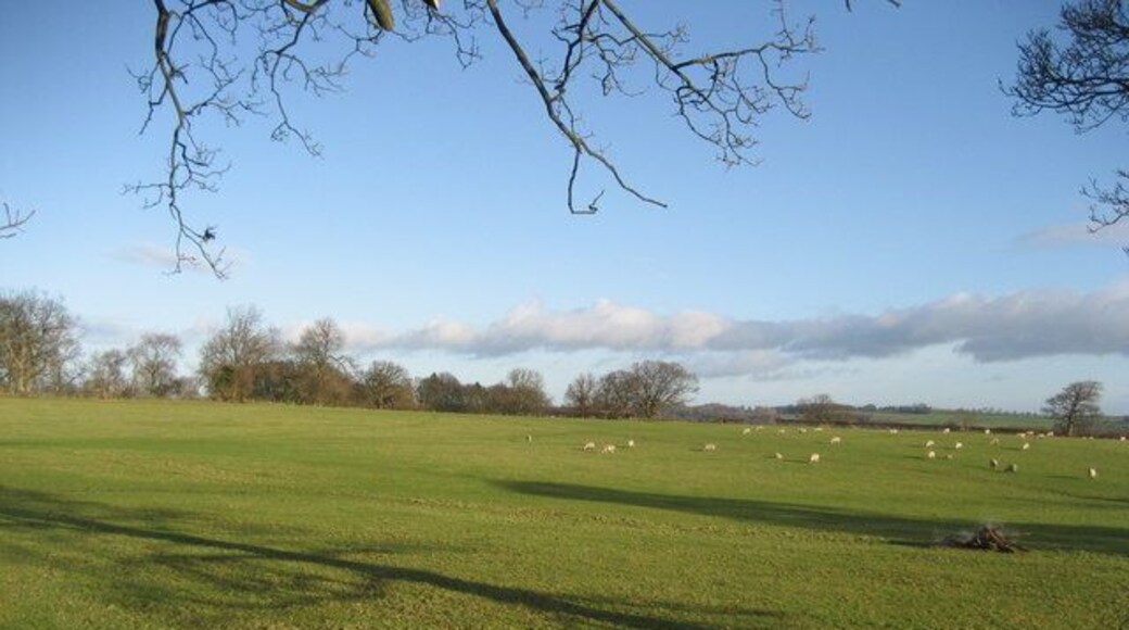 Fields east of Fearby Quiet countryside from the lane that connects Fearby to Masham - about a quarter of a mile from the former