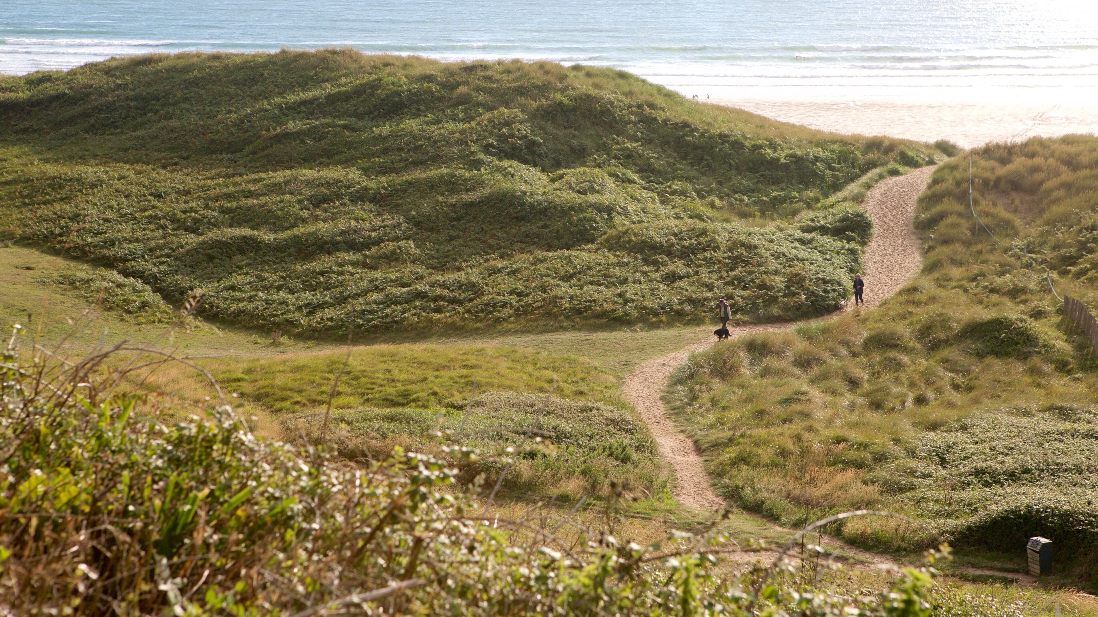 Un paisaje costero con dunas onduladas, una playa arenosa y un estrecho sendero de tierra que conduce al mar.