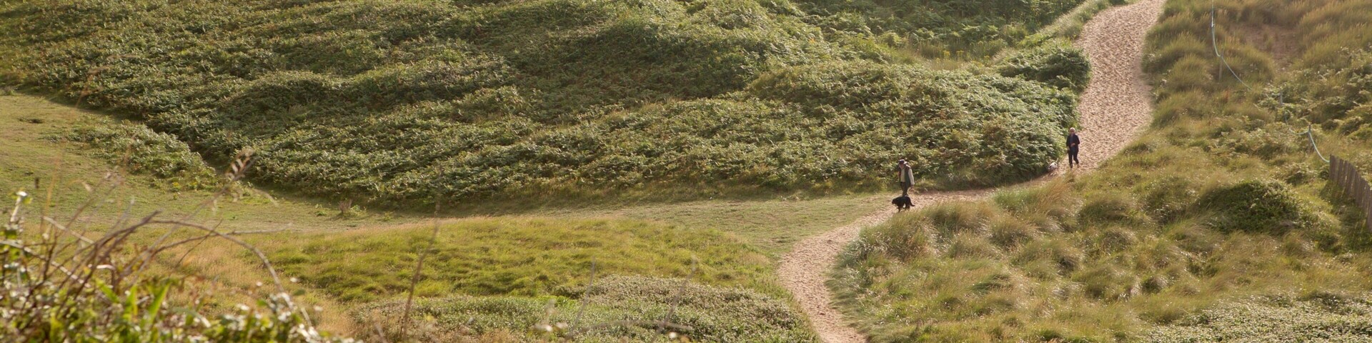 Un paisaje costero con dunas onduladas, una playa arenosa y un estrecho sendero de tierra que conduce al mar.