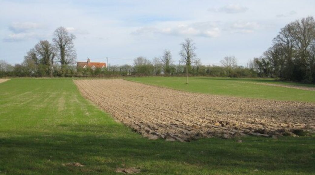 Partly ploughed field Next to Street End Copse.