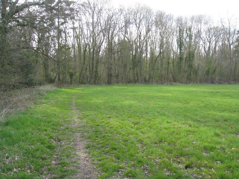 Path towards Street End Copse