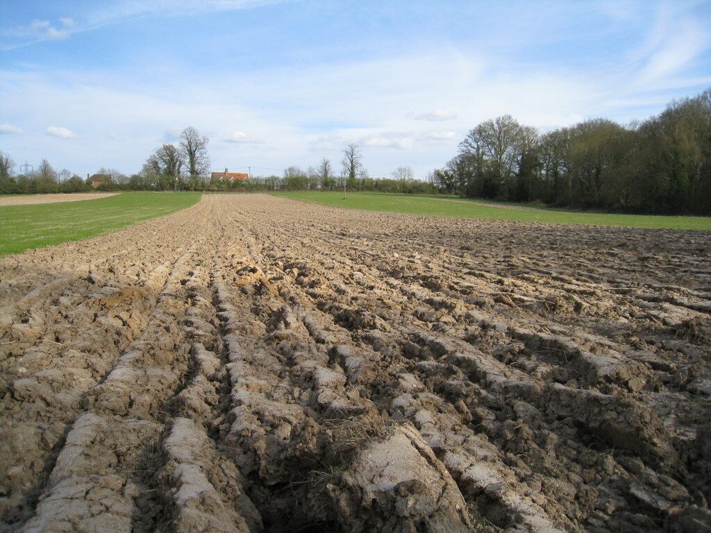 Partly ploughed field Why do farmers do this? Visible in the background is Bunker's Hill Cottage on the Reading Road.