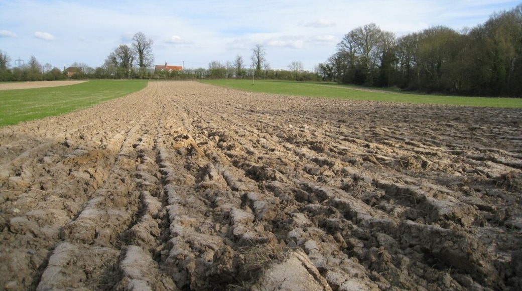 Partly ploughed field Why do farmers do this? Visible in the background is Bunker's Hill Cottage on the Reading Road.