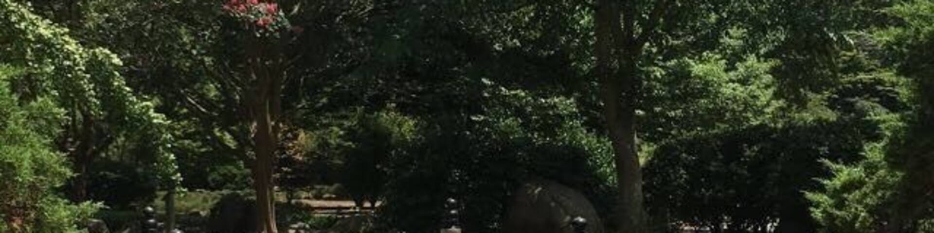 A wooden bridge in a park with trees and gravel.