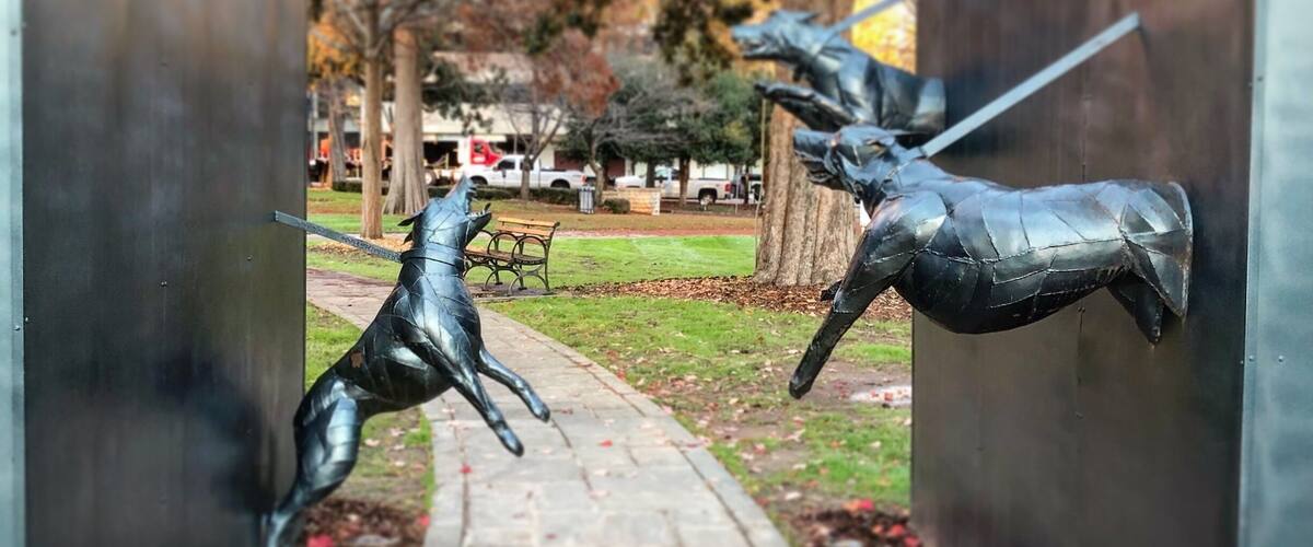 This sculpture in Kelly Ingram Park in Birmingham, Alabama depicts a vicious dog attack during the civil rights protests in 1963. This sculpture is very effective.  I got chills walking through and imagining what it just have been like. #civilrights #historymatters
