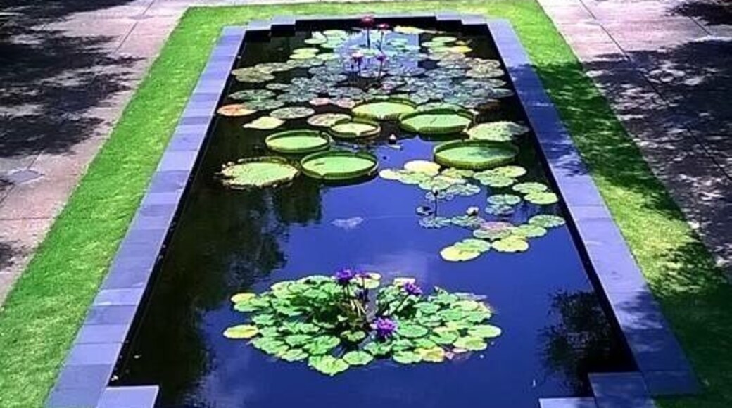 The Gardens on 69 acres of beautiful manicured and woodland landscape! Truest a place to visit