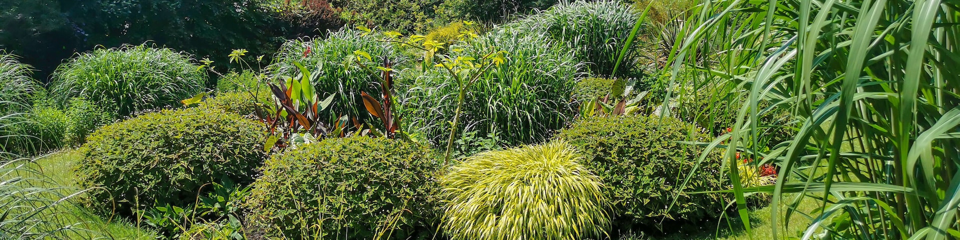 Detail of the Birmingham Botanical Gardens