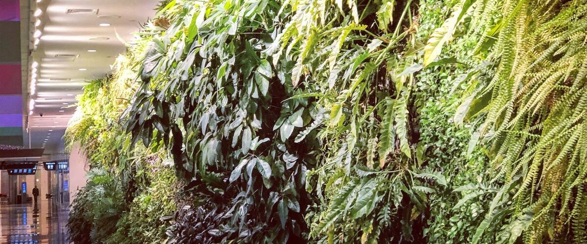 The “living wall” inside Birmingham-Shuttlesworth Airport filled with vegetation that grows in Alabama. This is so cool, I stared at it for at least 15 minutes examining all the different types of plants. I want this in my house!