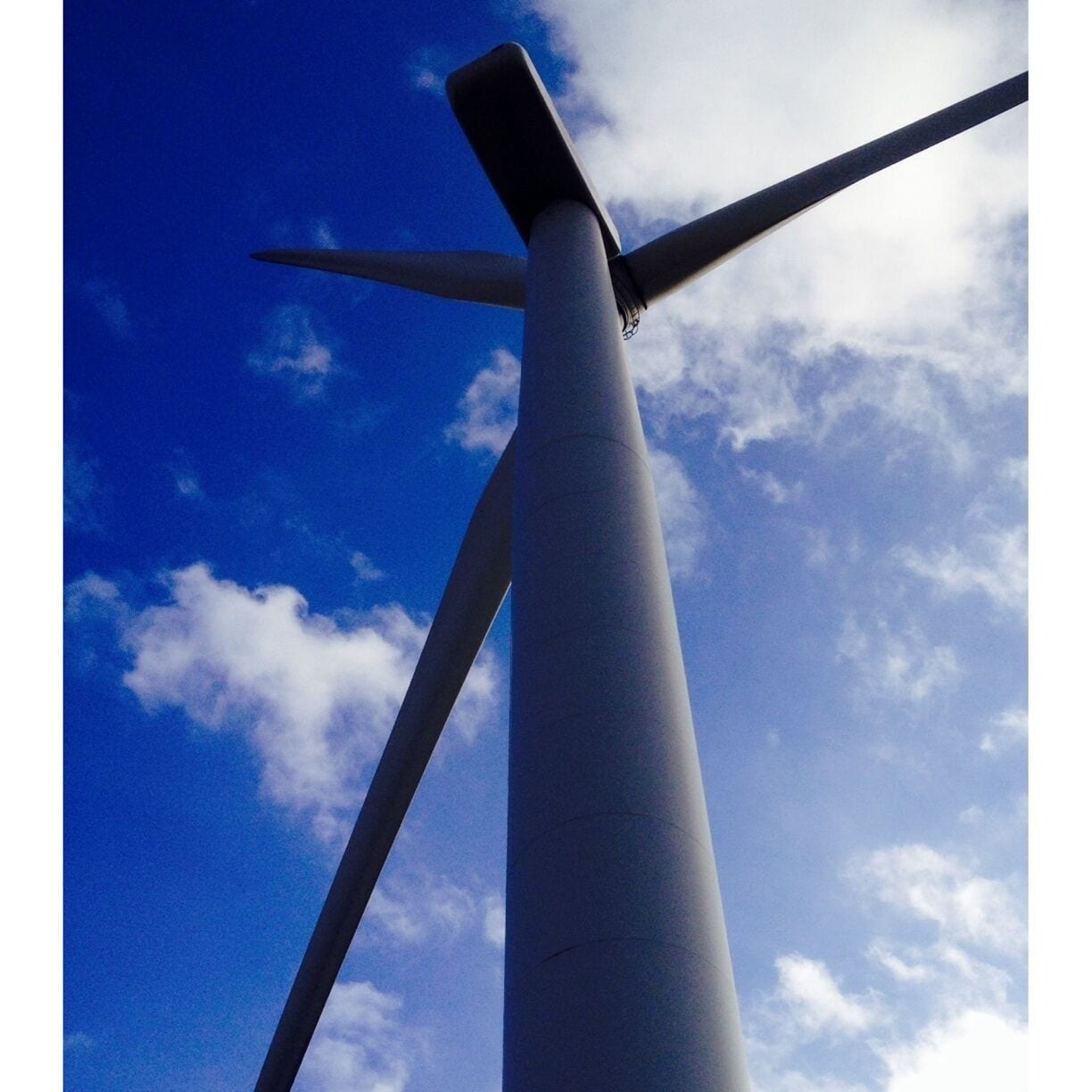On a blustery day, witnessing first hand the  mighty turbines and learning about the importance of renewable energy. 