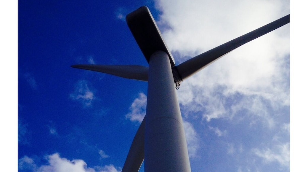 On a blustery day, witnessing first hand the mighty turbines and learning about the importance of renewable energy.