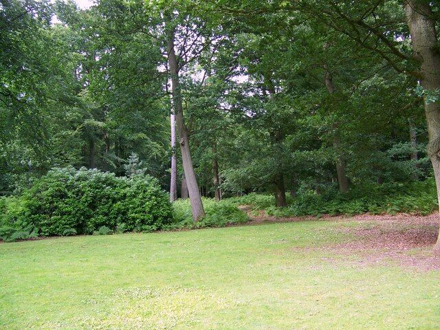 Chapel Wood, Ampfield From the churchyard of St Marks Church you can enter Chapel Wood an area where you are welcome to wander along its permissive paths.