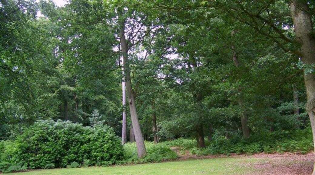 Chapel Wood, Ampfield From the churchyard of St Marks Church you can enter Chapel Wood an area where you are welcome to wander along its permissive paths.