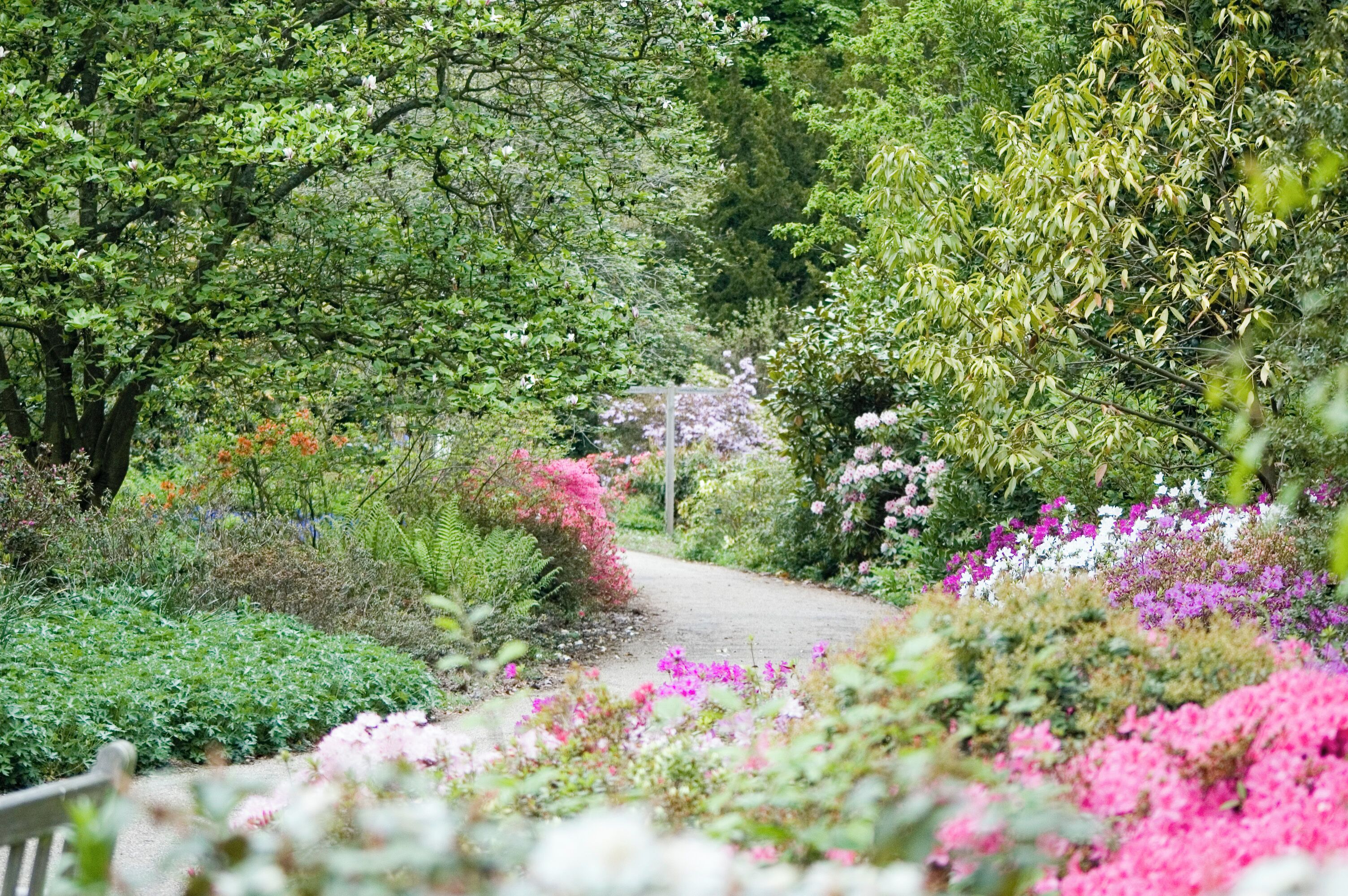 Hillier Gardens