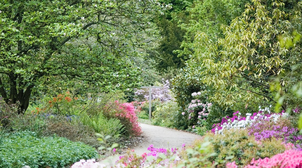 Hillier Gardens