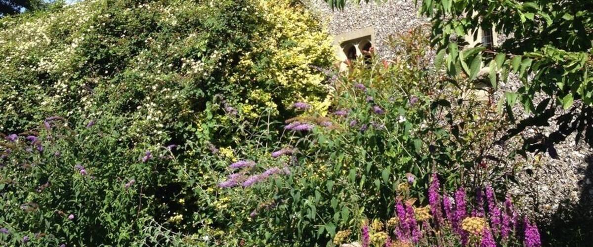 A historic stone building with a tower, surrounded by lush greenery and flowering plants.