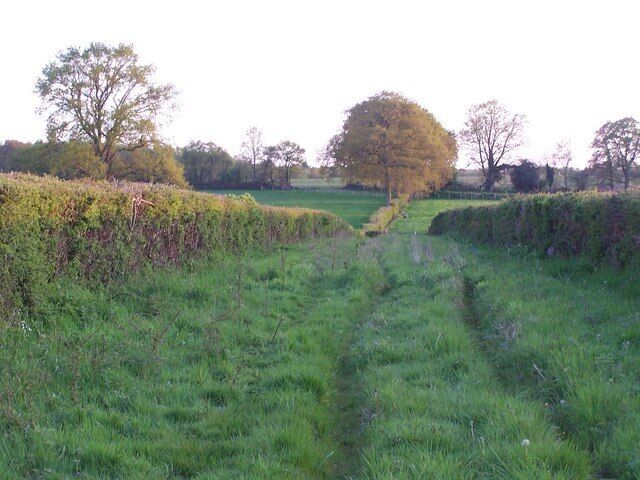 Footpath near Stonyford The last of the sunlight just catches the tops of the hedges and trees