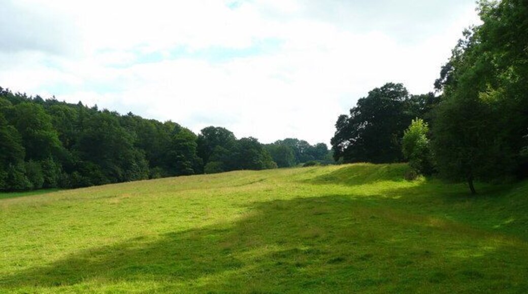 Pasture land with footpath Looking south from Hentland churchyard, the path runs along the right hand side of the field towards Pengethley.