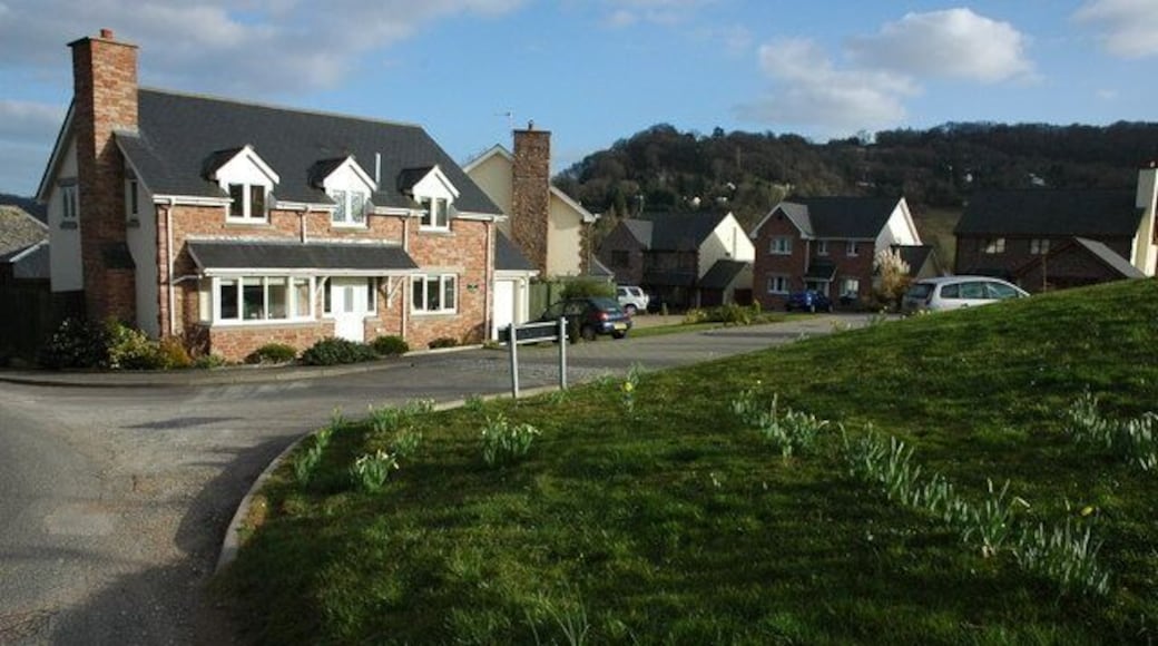 Yew Tree Close, Whitchurch Recent housing development of attractive new houses on the edge of the village of Whitchurch.