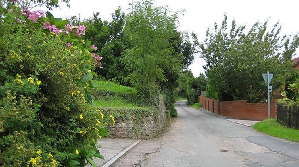 Minor road to Glewstone From Pencraig. Runs parallel to the A40 for a short stretch.