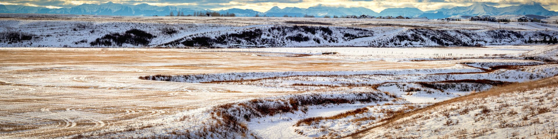 Ranch Land on the Prairies