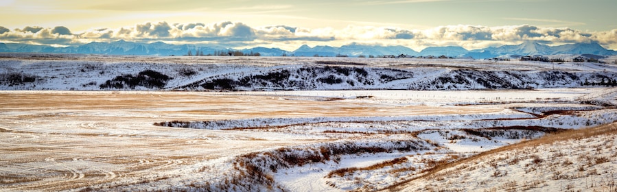 Ranch Land on the Prairies