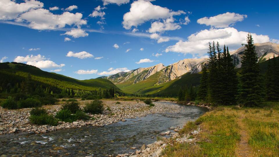 A river flowing through a mountainous landscape with green hills and tall trees.
