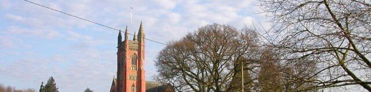 Eine Kirche mit hohem Turm, einem grünen Feld und kahlen Bäumen.