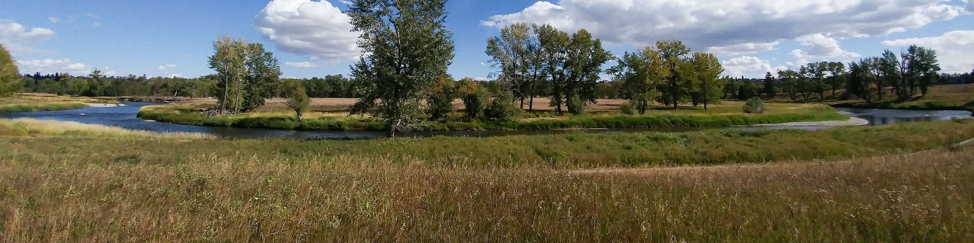 Bow River meander in Fish Creek Provincial Park, Calgary, Canada