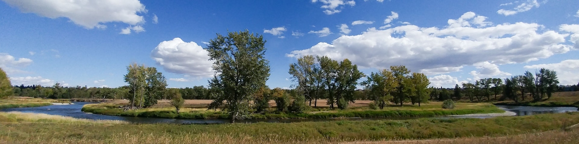 Bow River meander in Fish Creek Provincial Park, Calgary, Canada